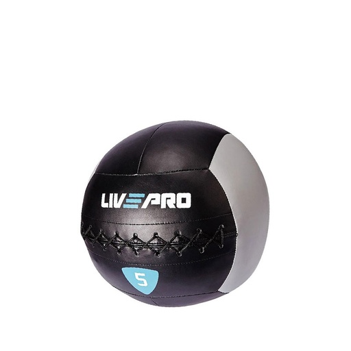 Live Pro Wall Ball LP8100