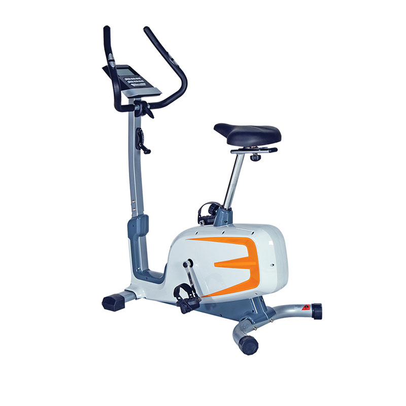 Olympia Upright Bike