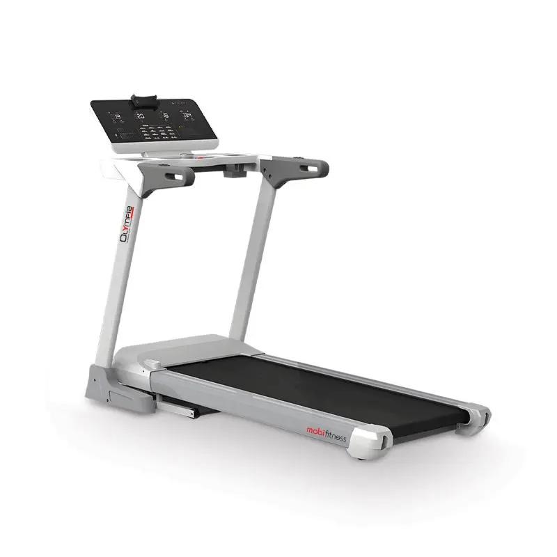 Incline Motorized Treadmill
