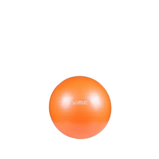 LS3225 Live Up Mini Ball 20cm
