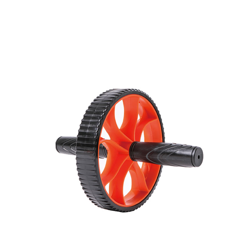 [LS3372] Live Up Exercise Wheel