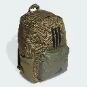 IS7042 Adidas Classic Back2School Backpack (1).webp