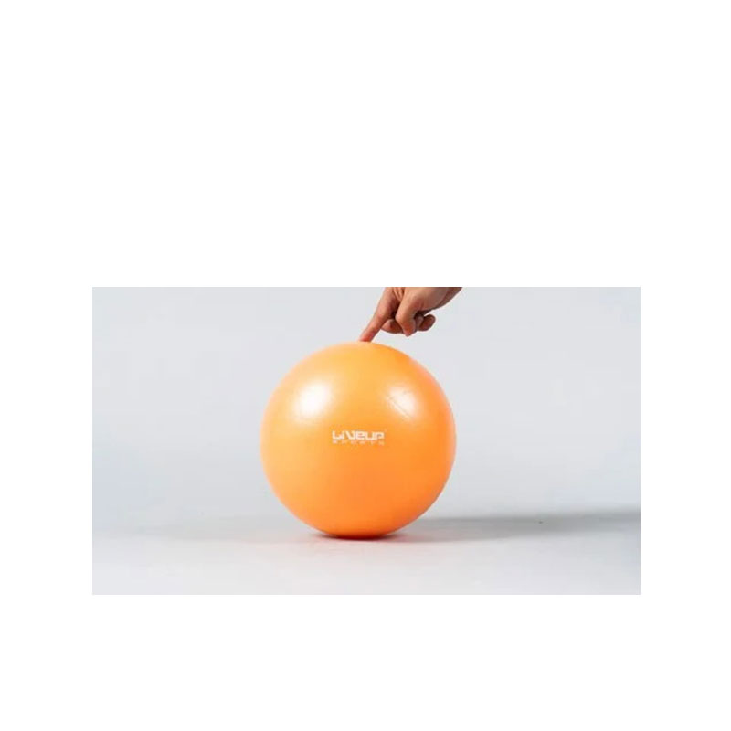 LS3225 Live Up Mini Ball 20cm