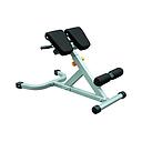 45 Degree Hyperextension