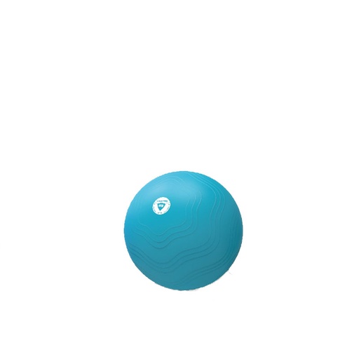 Live Pro Core Fit Exercise Ball