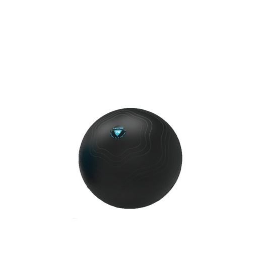 Live Pro Core Fit Exercise Ball