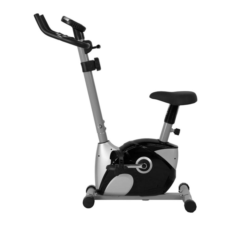 Olympia Up right Bike BS290