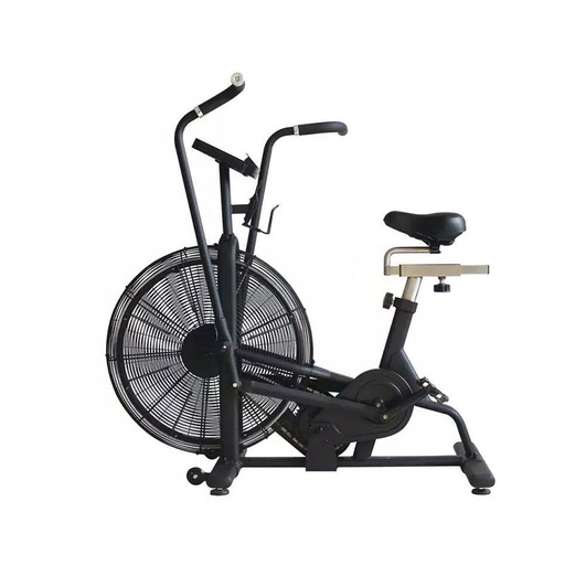 Dual Motion Air Bike