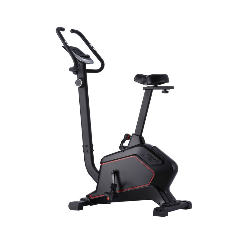 Magnetic UpRight Bike