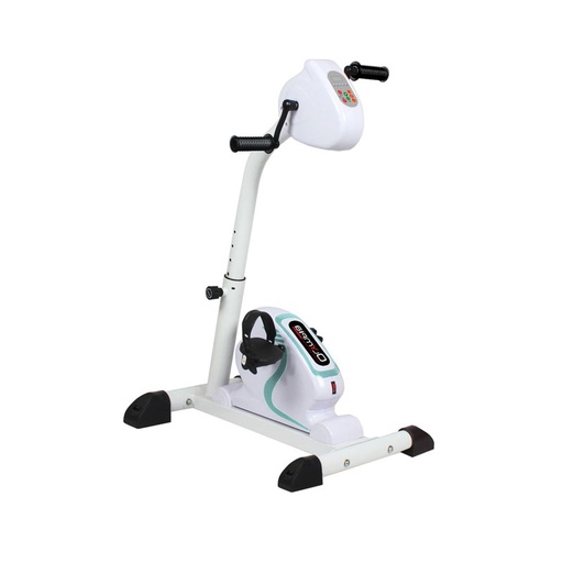 Dual Motion Motorized Mini-Bike