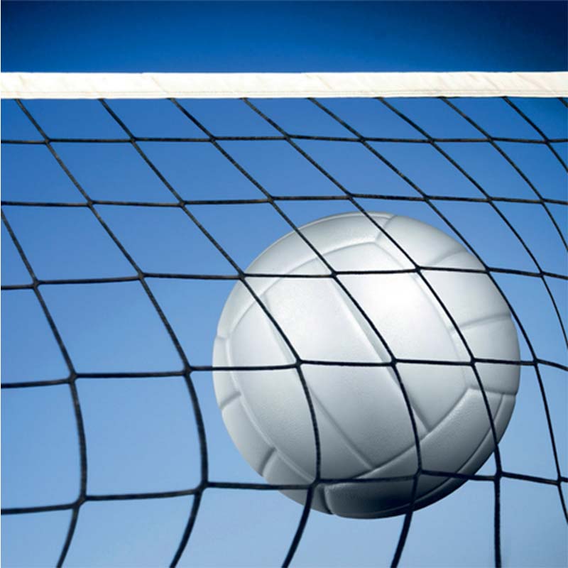 GISCO Olympic Volleyball Net VN-500