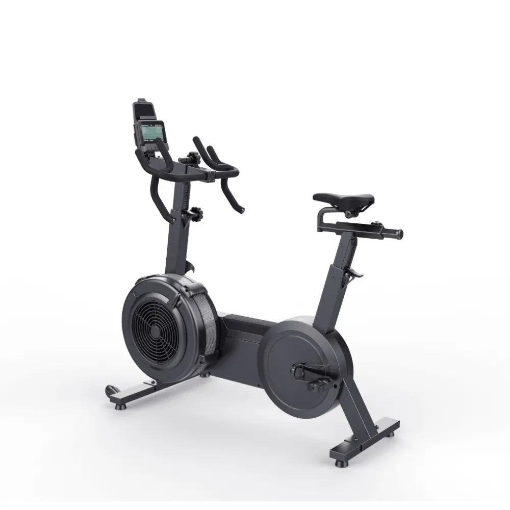 Olympia Wind Bike