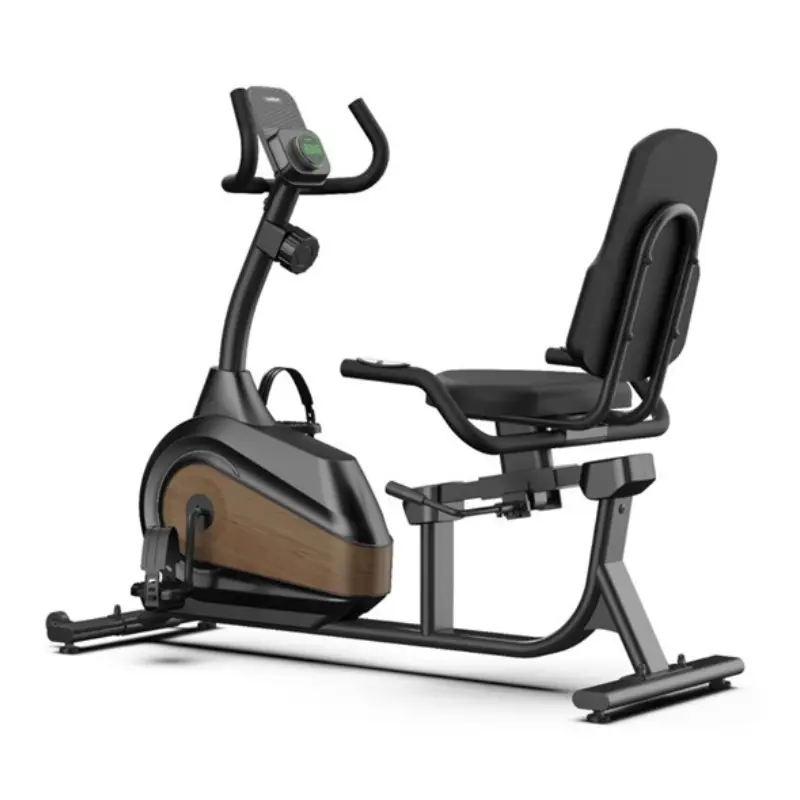 Magnetic Recumbent Bike