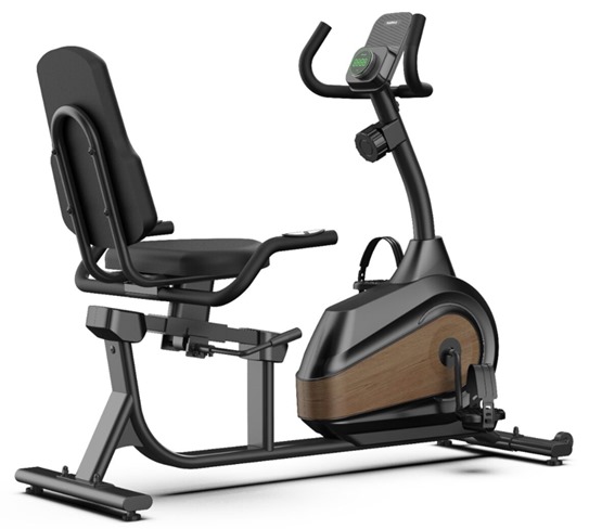 Magnetic Recumbent Bike
