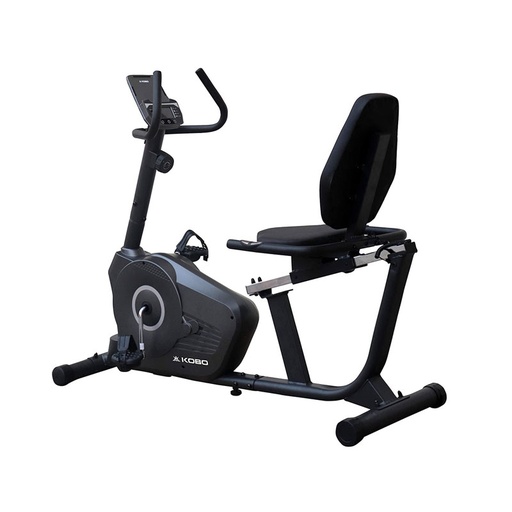 BS839 Recumbent Bike