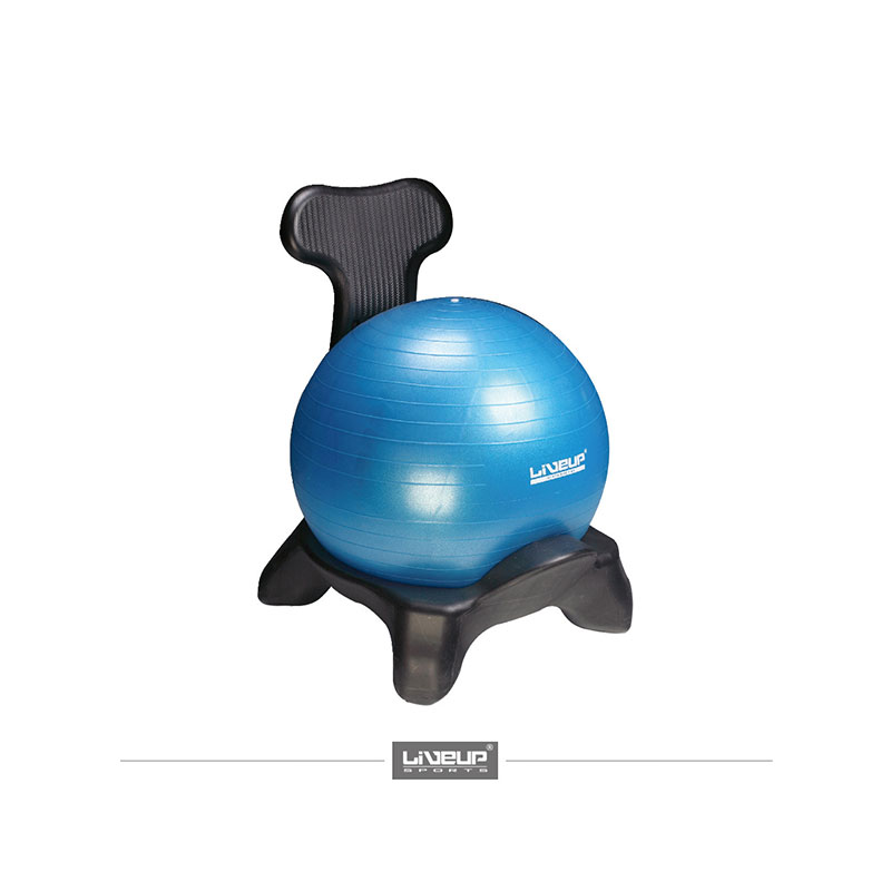 [LS3573] Live Up Ball Chair