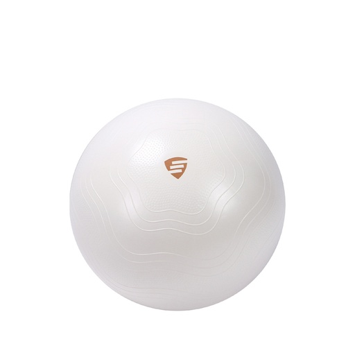 [LP9005] Live Pro Exercise Ball