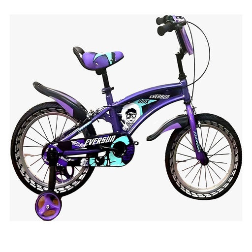 Kids Bike with Training Wheel (12in)