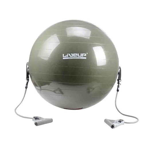[LS3227] Gym Ball With Expander