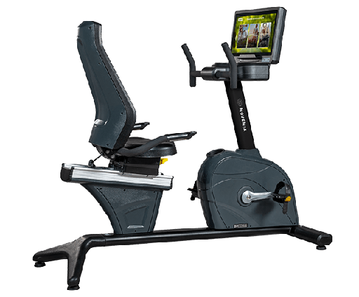 BH Fitness RECUMBENT BIKE. 19"