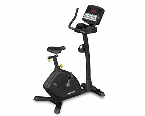 BH Fitness Inertia Upright Bike 16"